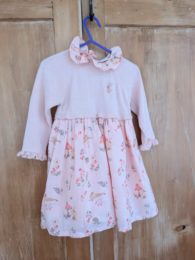 Pink Bunny Floral Dress by Next — pre-loved on Thrifted.mt