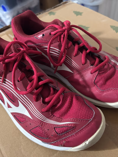 Cyclone Mizuno Handball Shoes by Mizuno — pre-loved on Thrifted.mt