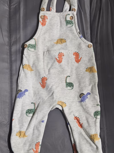 Baby dinosaur print dungarees — pre-loved on Thrifted.mt