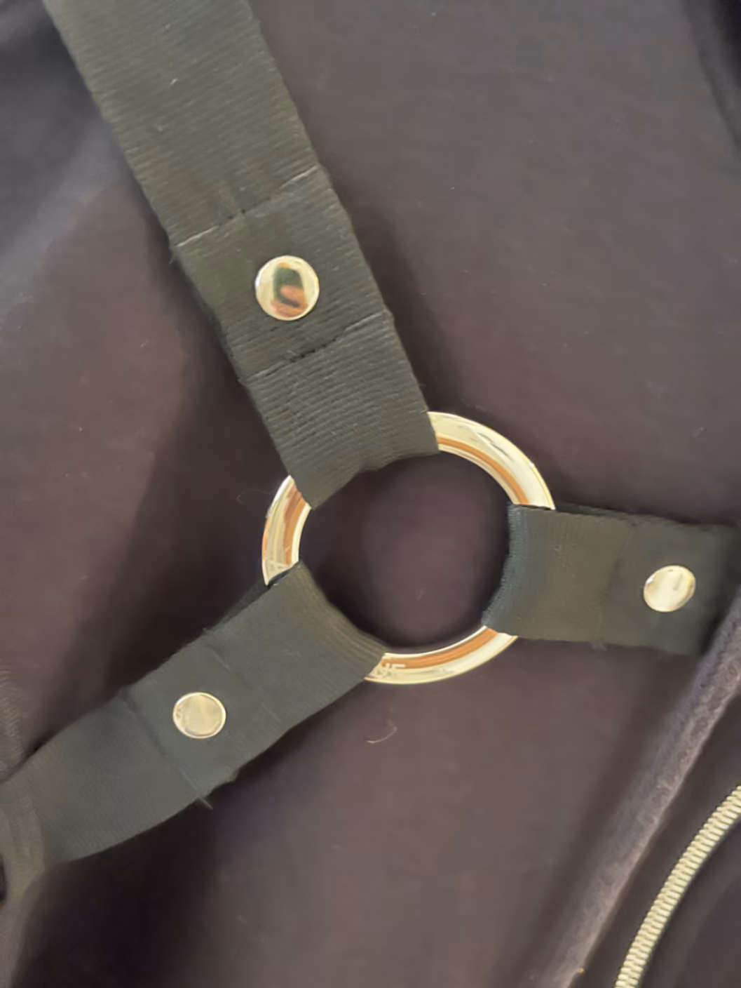 Black Harness Detail Zip Hoodie, photo 3