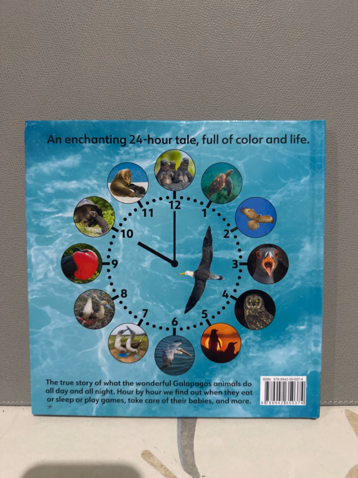 Libro "Galapagos 24 ore su 24", foto 2