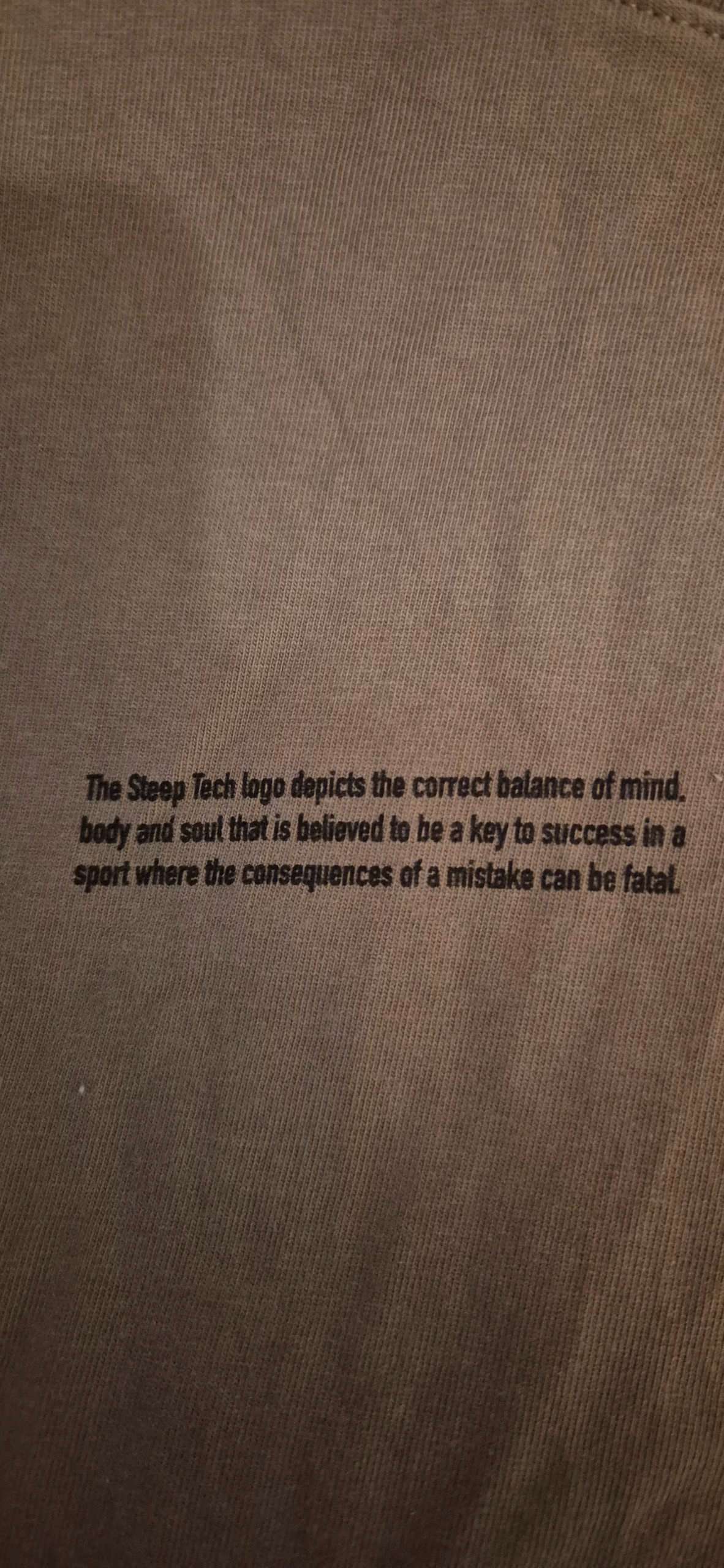 North Face Steep Tech Top, photo 6
