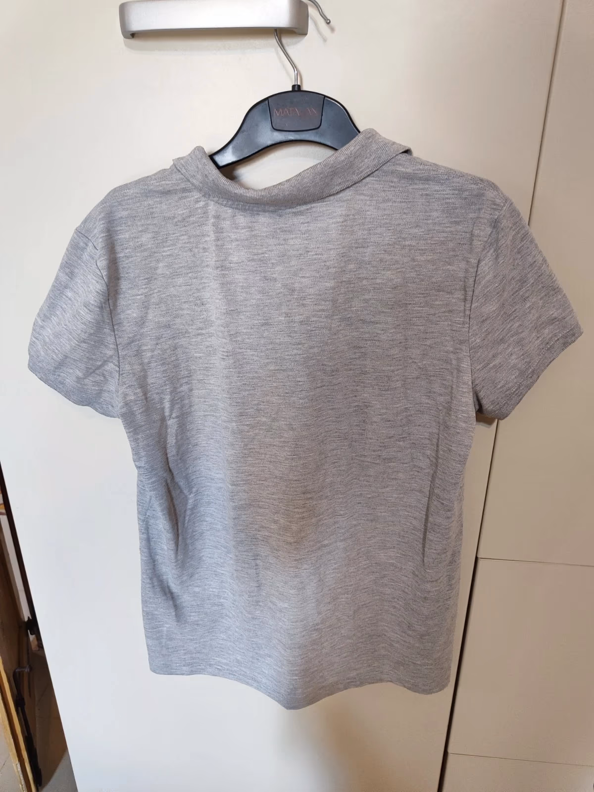 Polo gris, foto 2