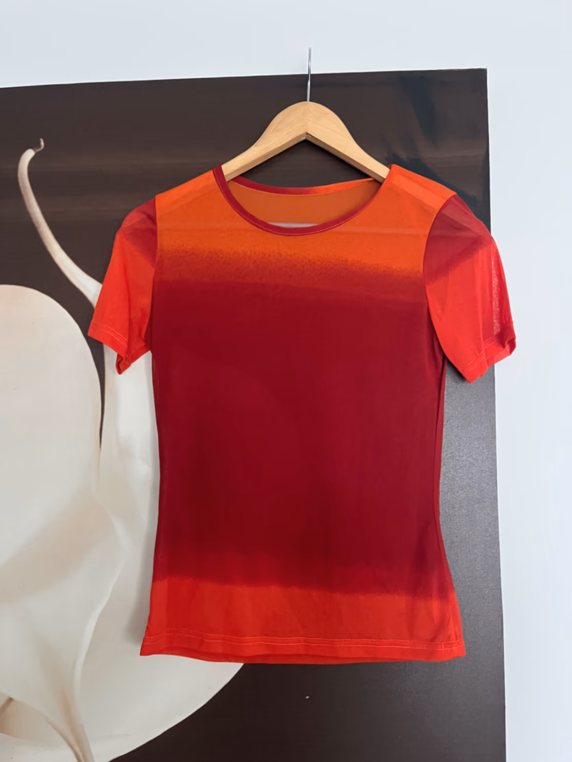 Vintage Sandro Ombre Mesh Twin Set, photo 3