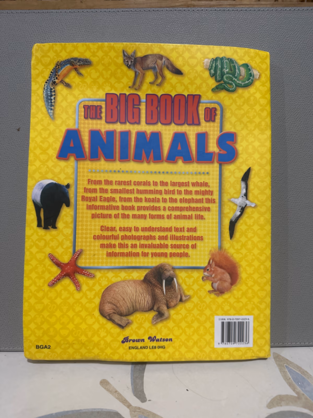 Il grande libro degli animali, foto 2