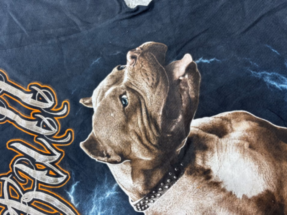 Graphic Pitbull print black t-shirt, photo 5