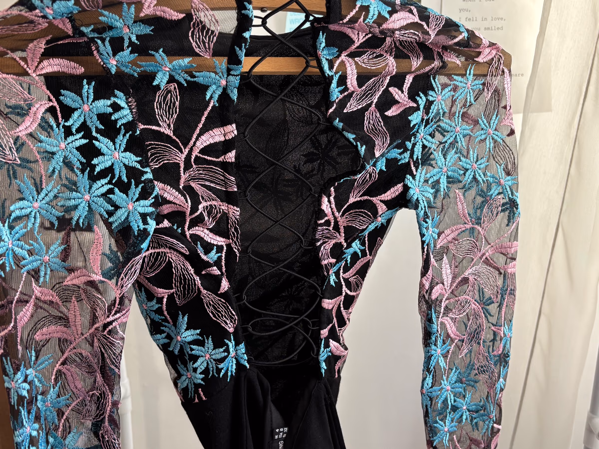 PrettyLittleThing Embroidered Mesh Detail Dress, photo 2