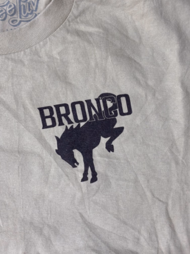Graphic Ford Bronco Beige Tee, photo 4