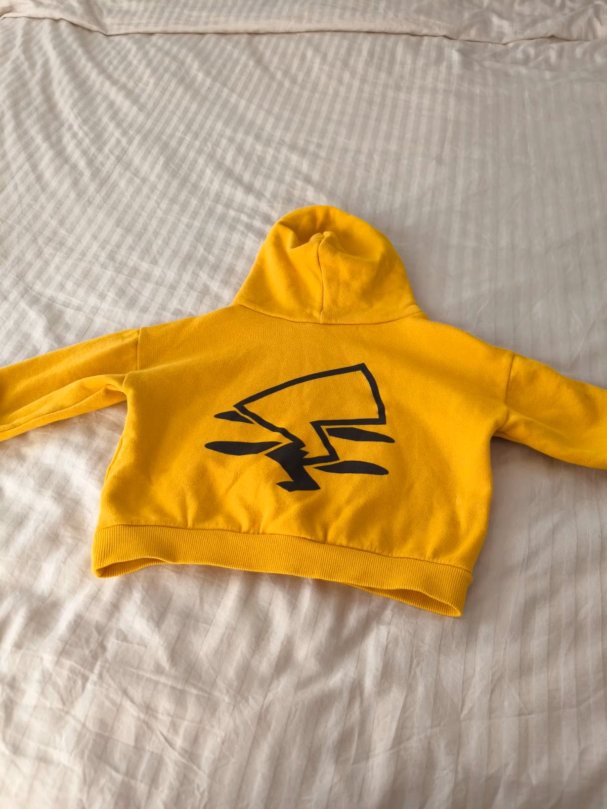 Pokémon Hoodie , photo 3