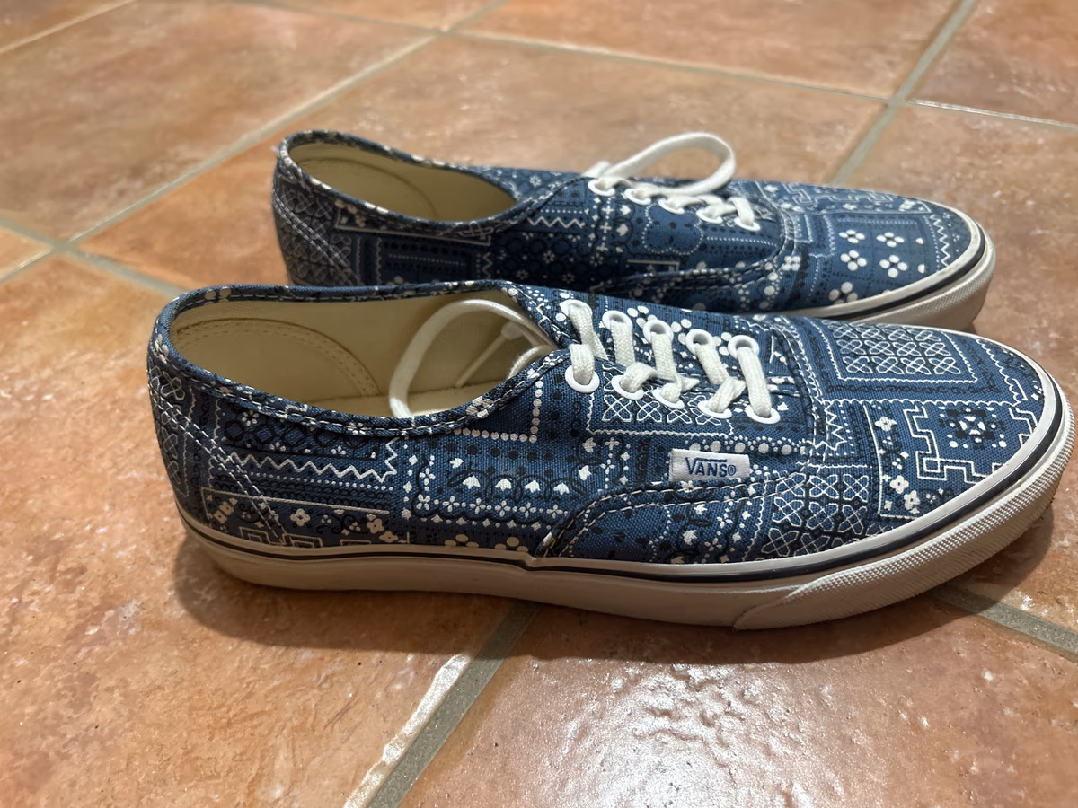 Vans Bandana Print Canvas Trainers, photo 2