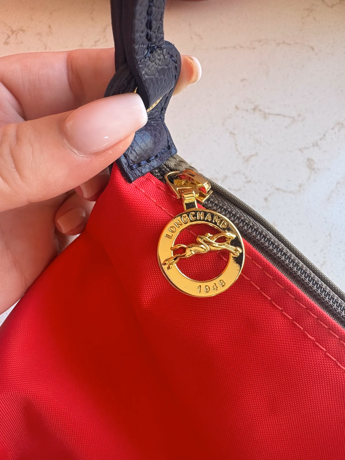 Bolso de hombro Longchamp Le Pliage «Replay», edición limitada, foto 5