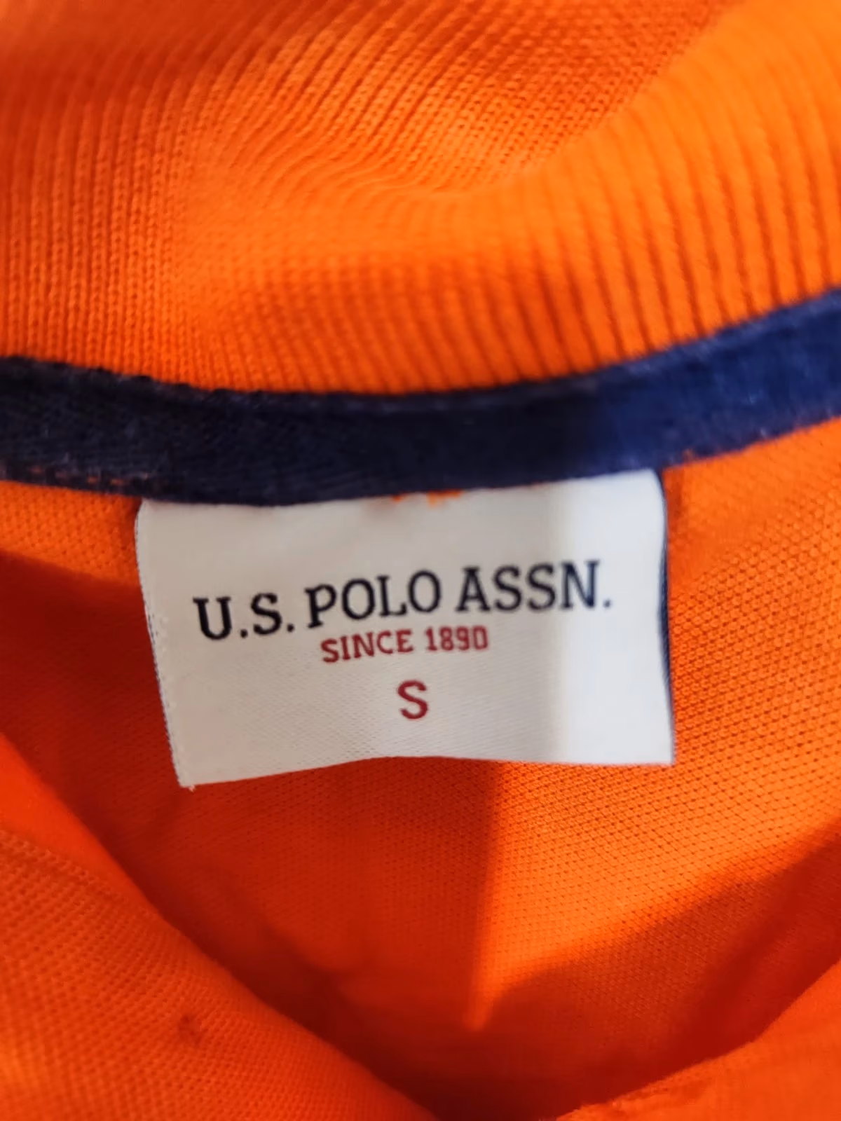 Polo arancione, foto 2