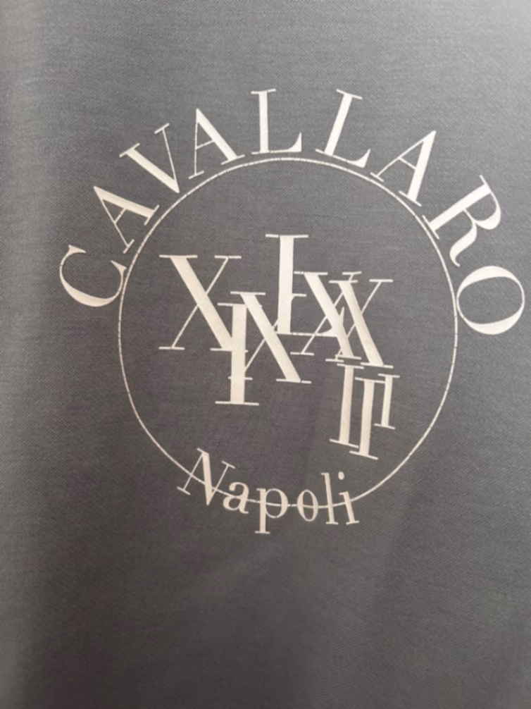 Cavallaro Napoli Grey Logo Sweatshirt, photo 2